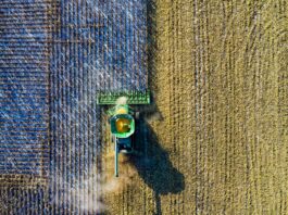 Agricoltura, i decreti attuativi scaduti valgono 340 milioni