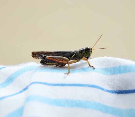 Resocónto – Andare avanti