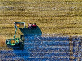 La commissione Ecomafie si occuperà anche di agroalimentare