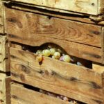 Resocónto – Il Paese reale