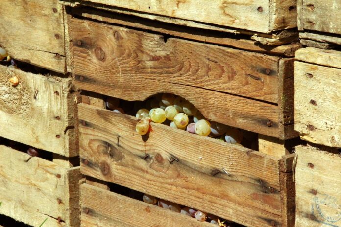 cassetta frutta agricoltura vino